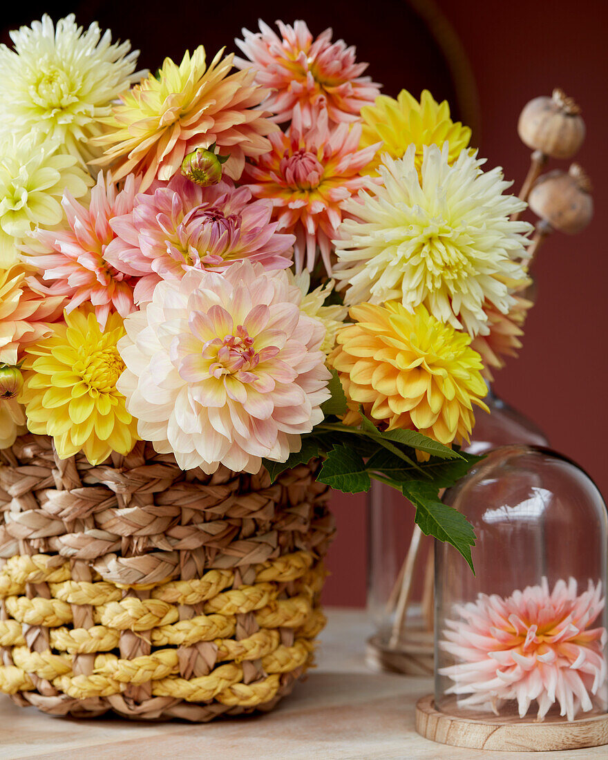 Mixed Dahlias in basket