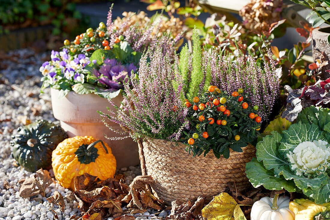 Herbstkollektion