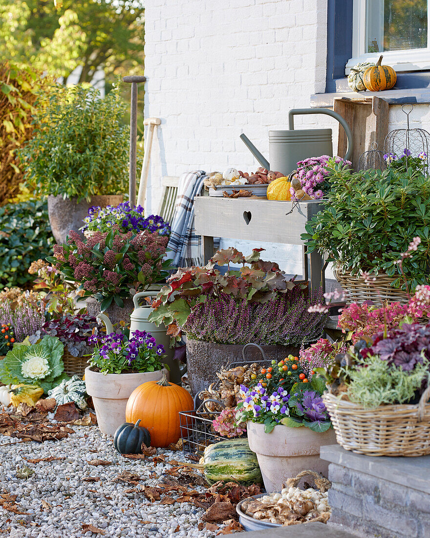 Herbstkollektion