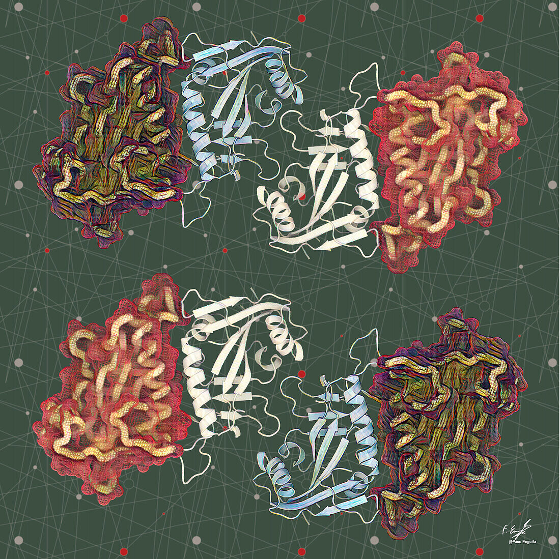 PARP15 DNA repair protein, illustration