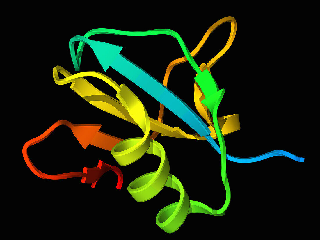 Anti-CRISPR protein AcrIF9, molecular model
