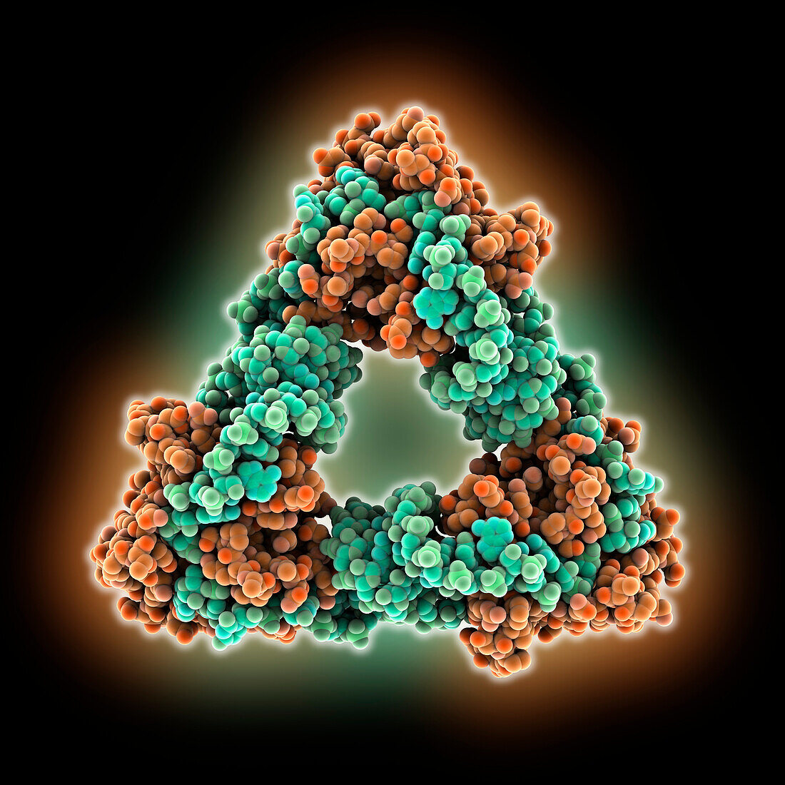 Type III toxin-antitoxin complex, molecular model