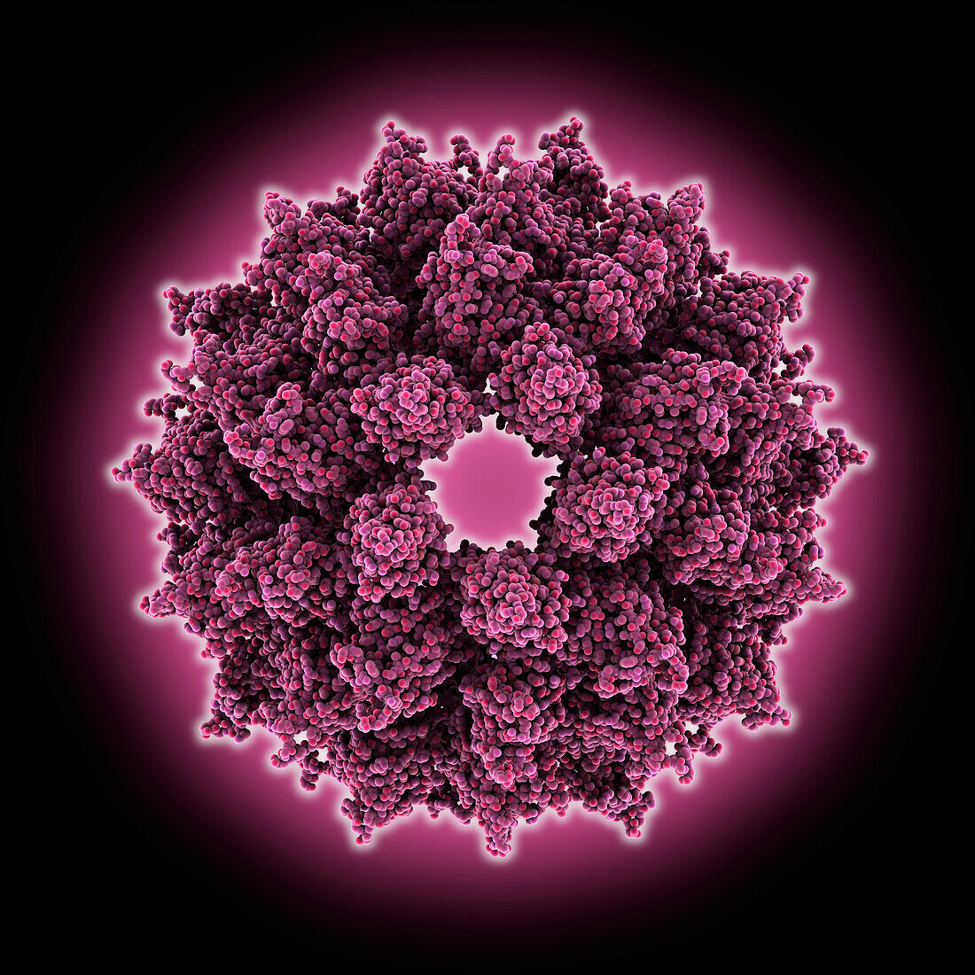 Alfalfa mosaic virus capsid, molecular model