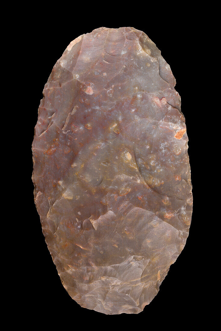 Neolithic oval biface tool