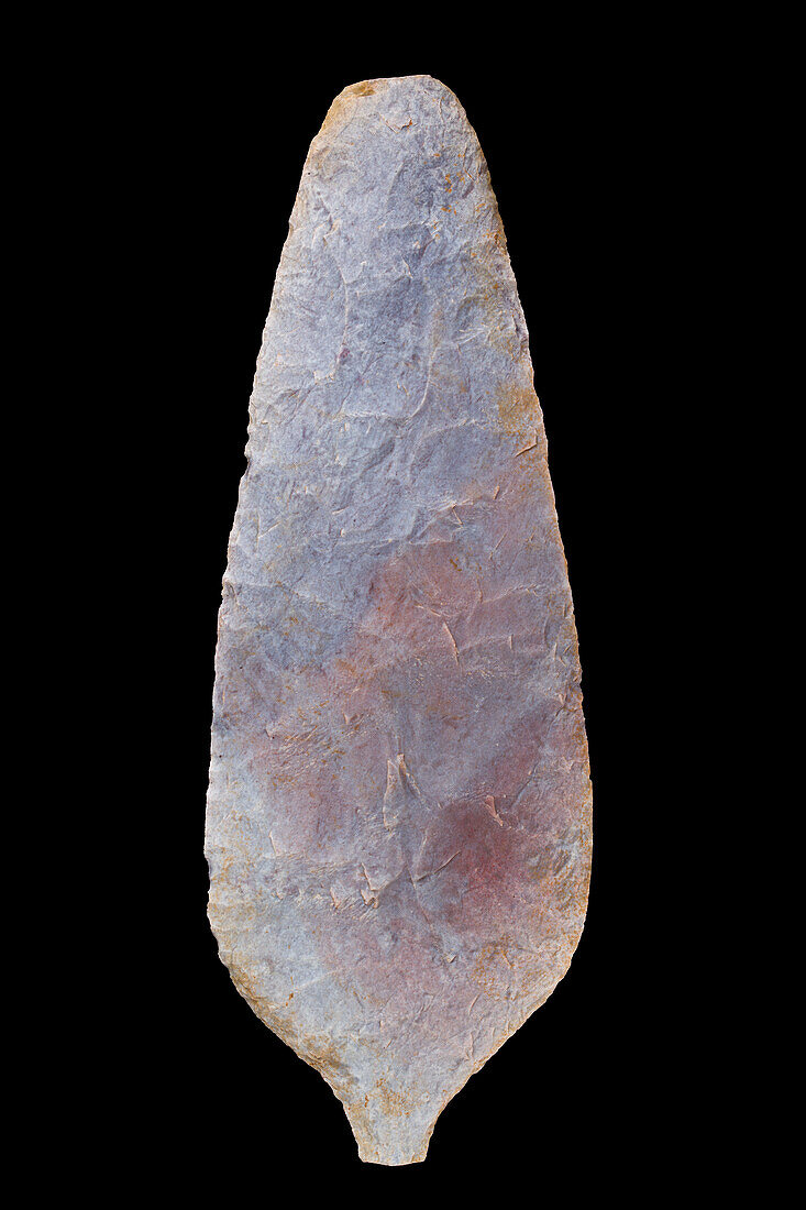 Neolithic rare leafy spear point