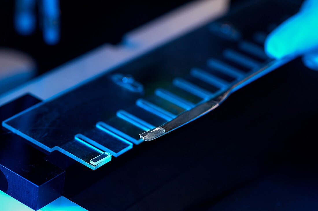 Foodborne bacterial DNA samples