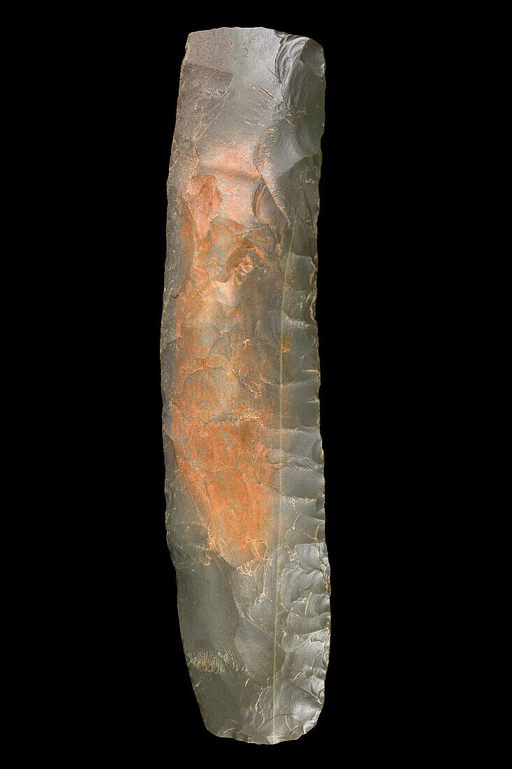 Neolithic two-edged curve gouge