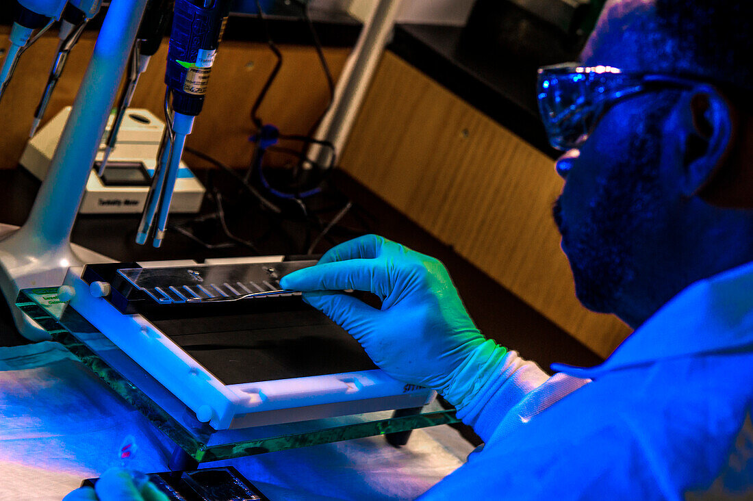 Preparing bacterial DNA for DNA fingerprinting