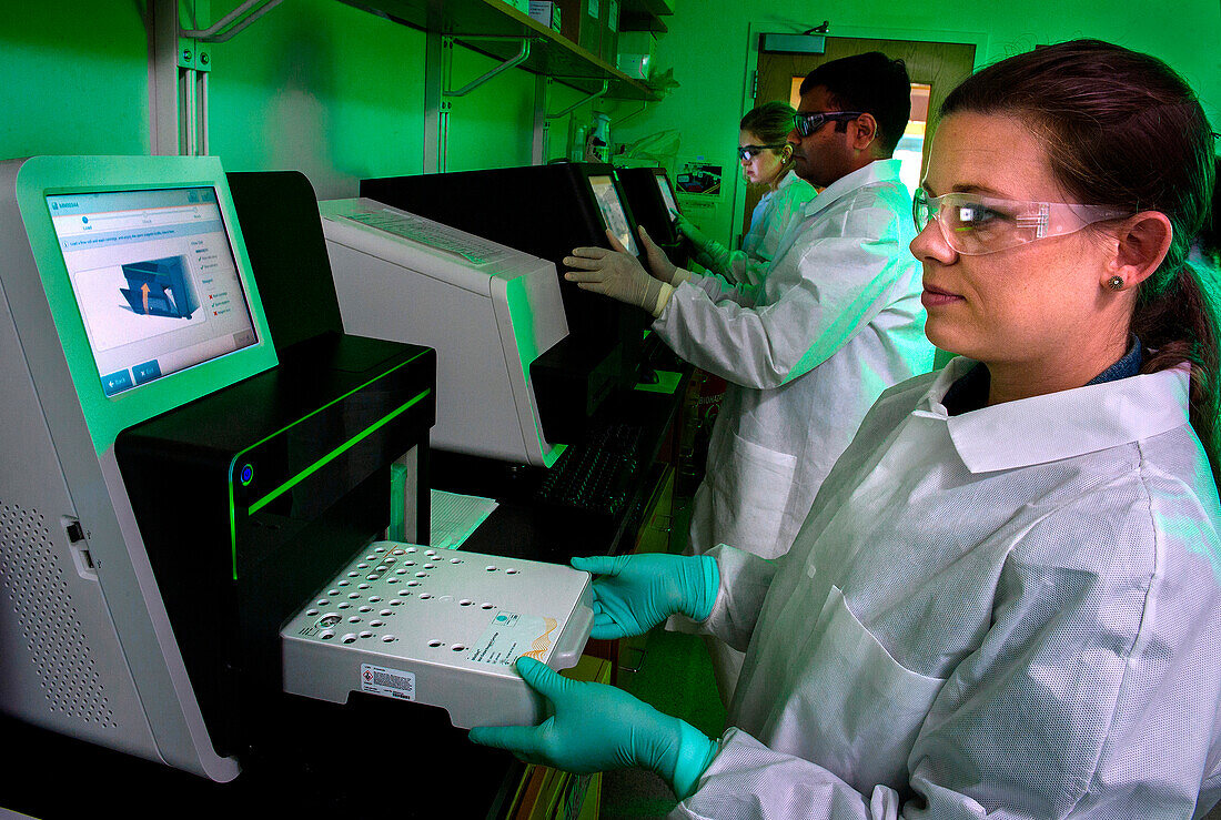 Scientists setting up a bacterial DNA sequencing run