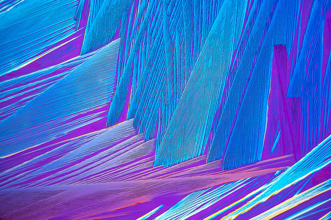Tartaric acid crystals, light micrograph
