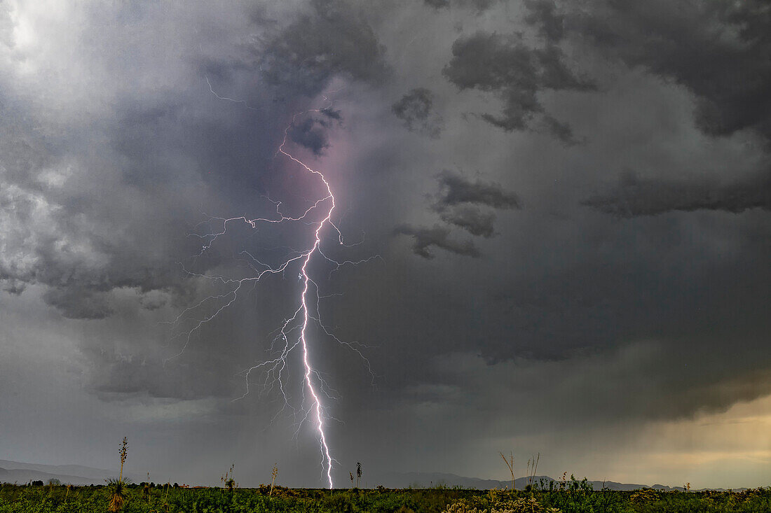 Lightning, Arizona, USA
