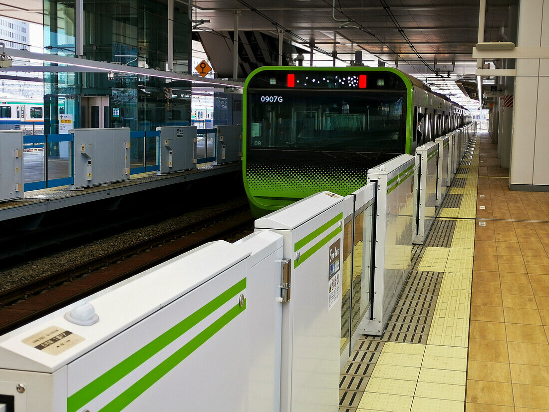 Train at railway station, Tokyo, Japan