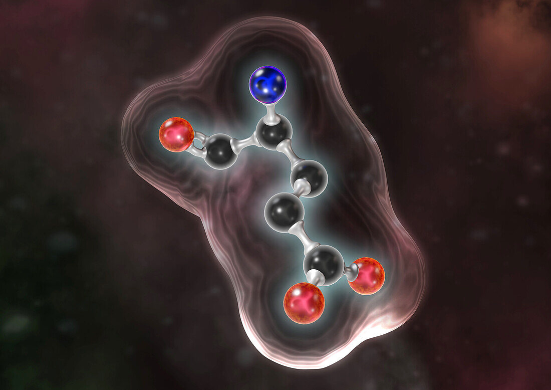 Glutamate, illustration