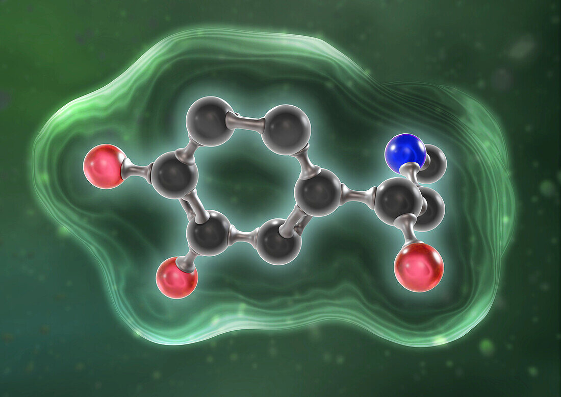 Adrenaline molecule, illustration
