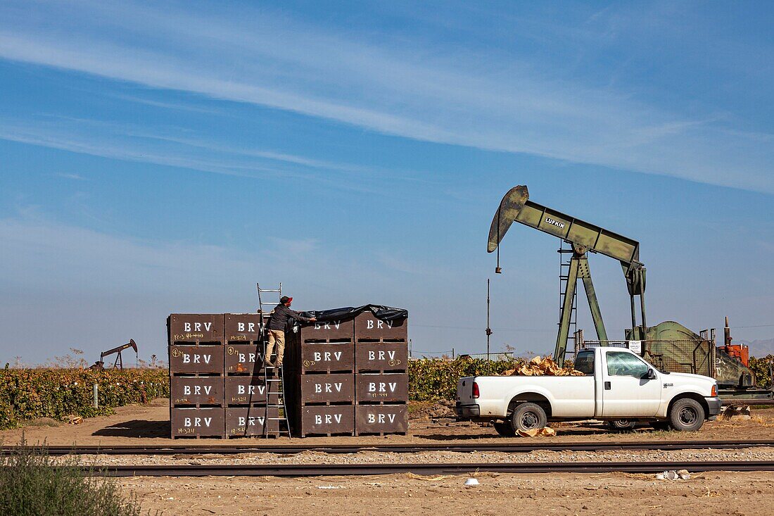 Mountain View Oil Field, California, USA