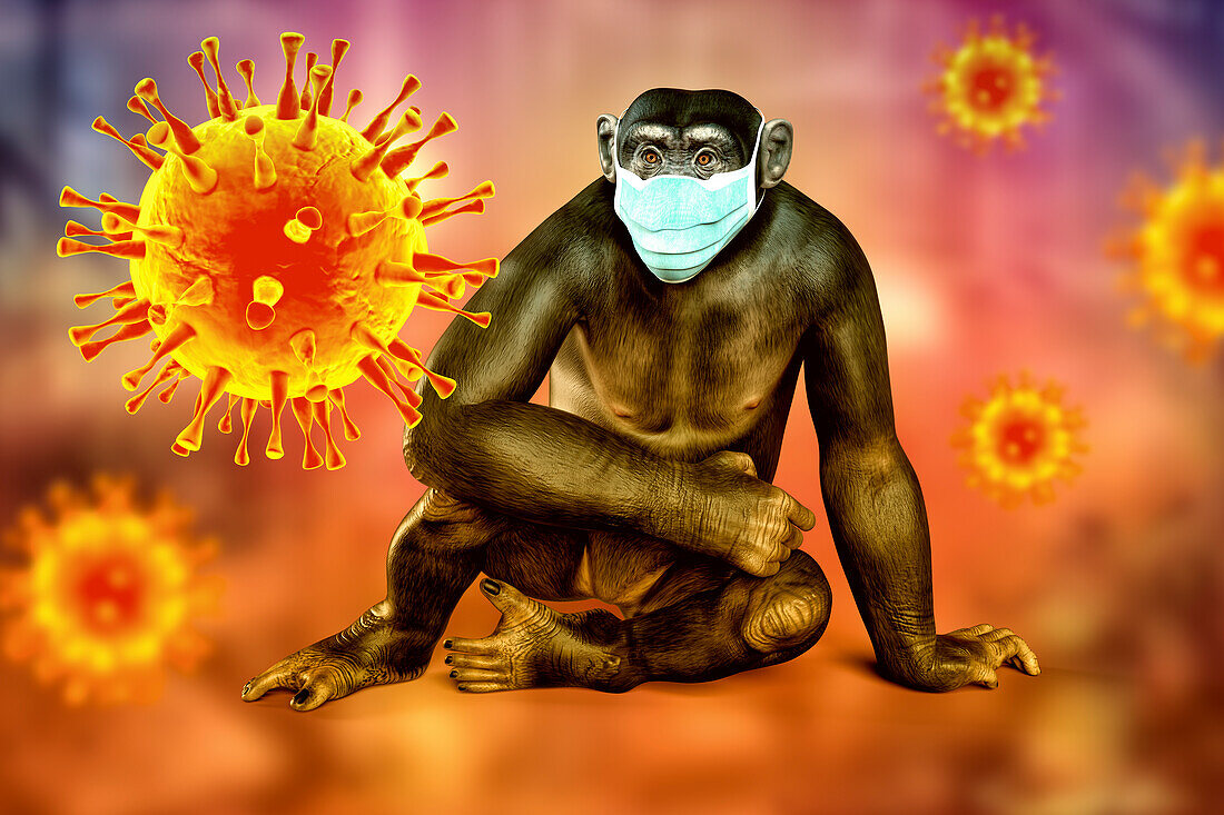 Virus particles around chimpanzee wearing mask, illustration