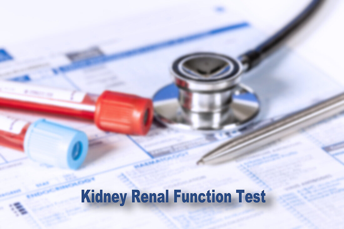 Kidney function test, conceptual image