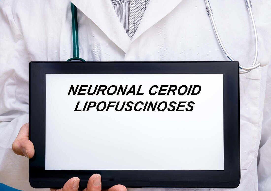 Neuronal ceroid lipofuscinoses, conceptual image