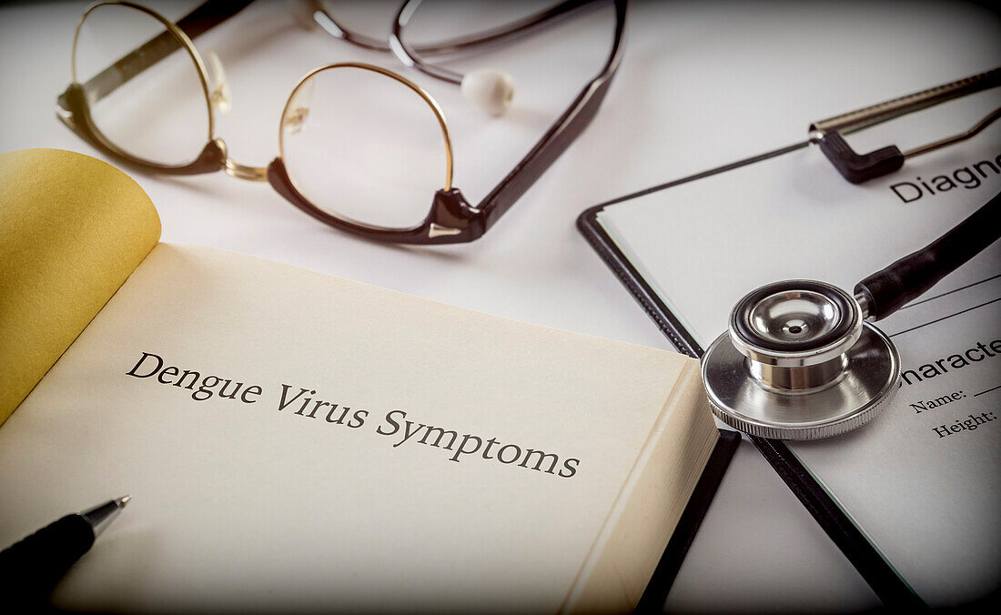 Dengue virus symptoms, conceptual image