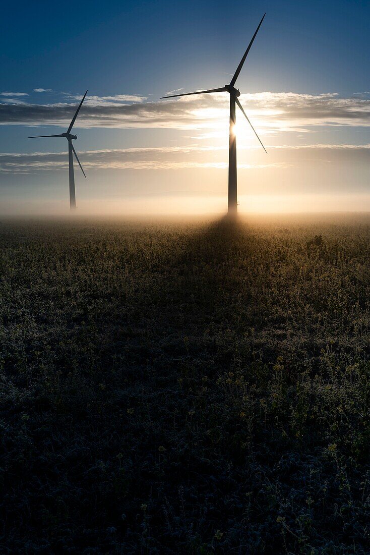 Wind turbines in fog