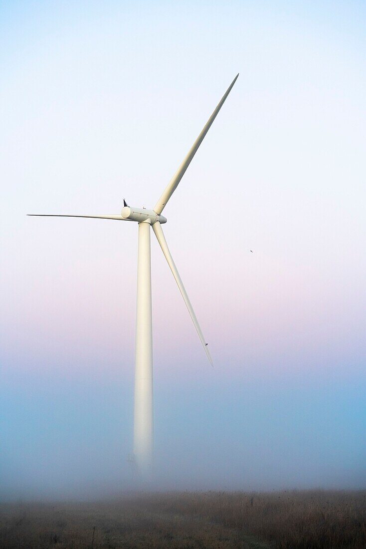 Wind turbines in fog