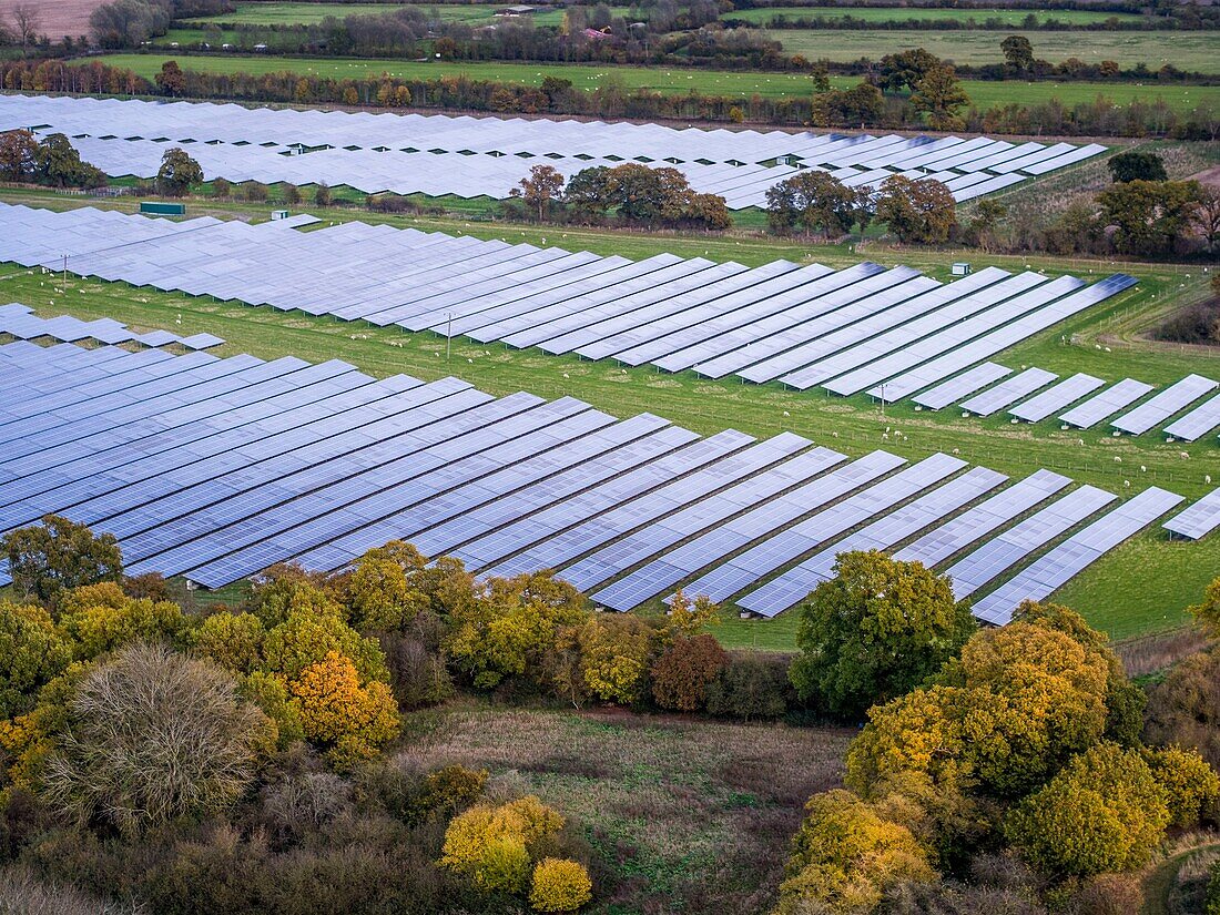 Solar farm