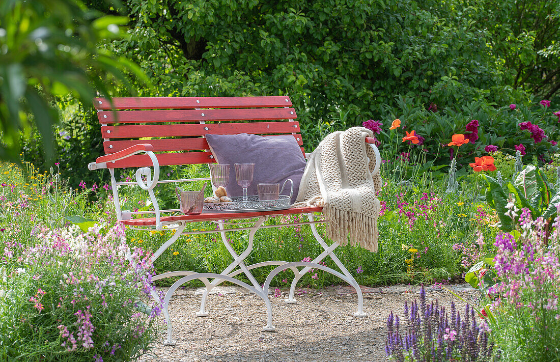 Garden bench in front of Moroccan toadflax (Linaria maroccana), peonies (Paeonia), poppies (Papaver) and sage (Salvia)