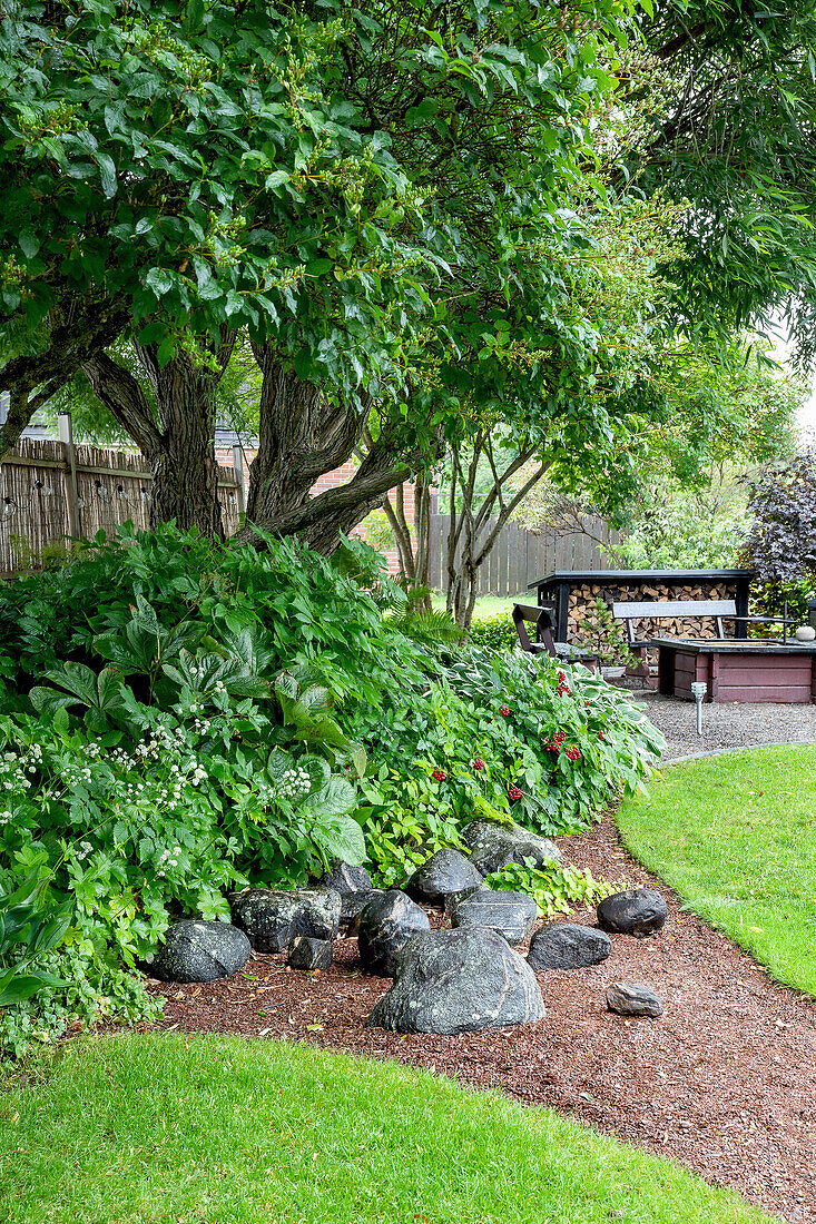 Lush planting under lilac, stones on fine gravel