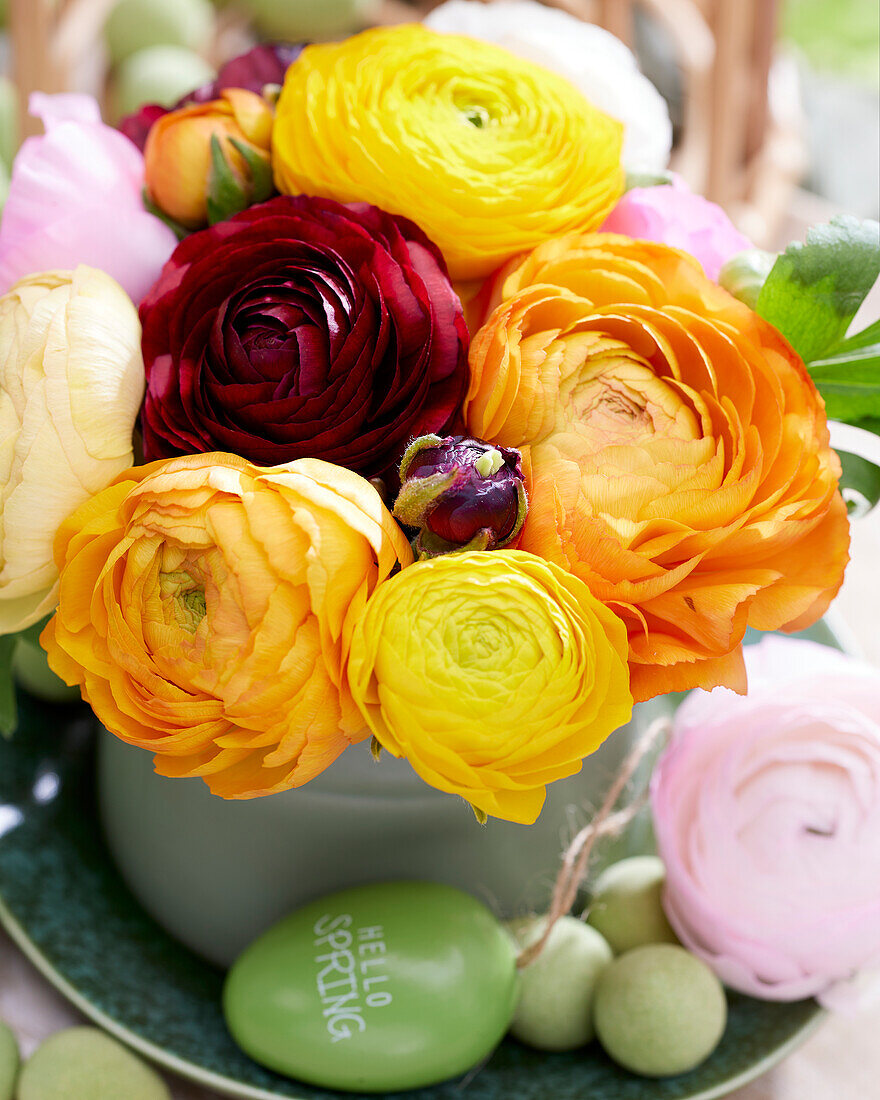 Ranunculus mixed