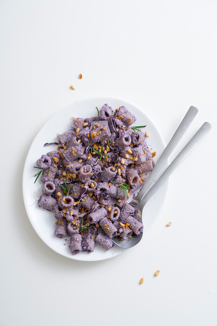 Mezze Maniche Rigate (Italian pasta) with red cabbage sauce