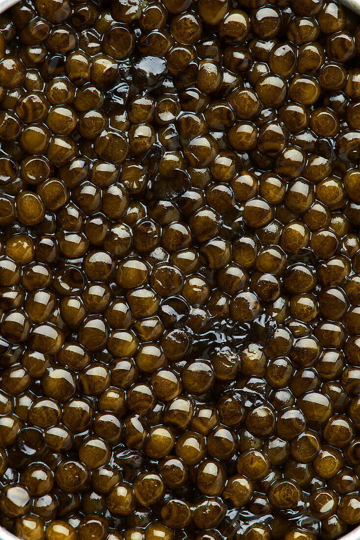 Kaviar (Bildfüllend)