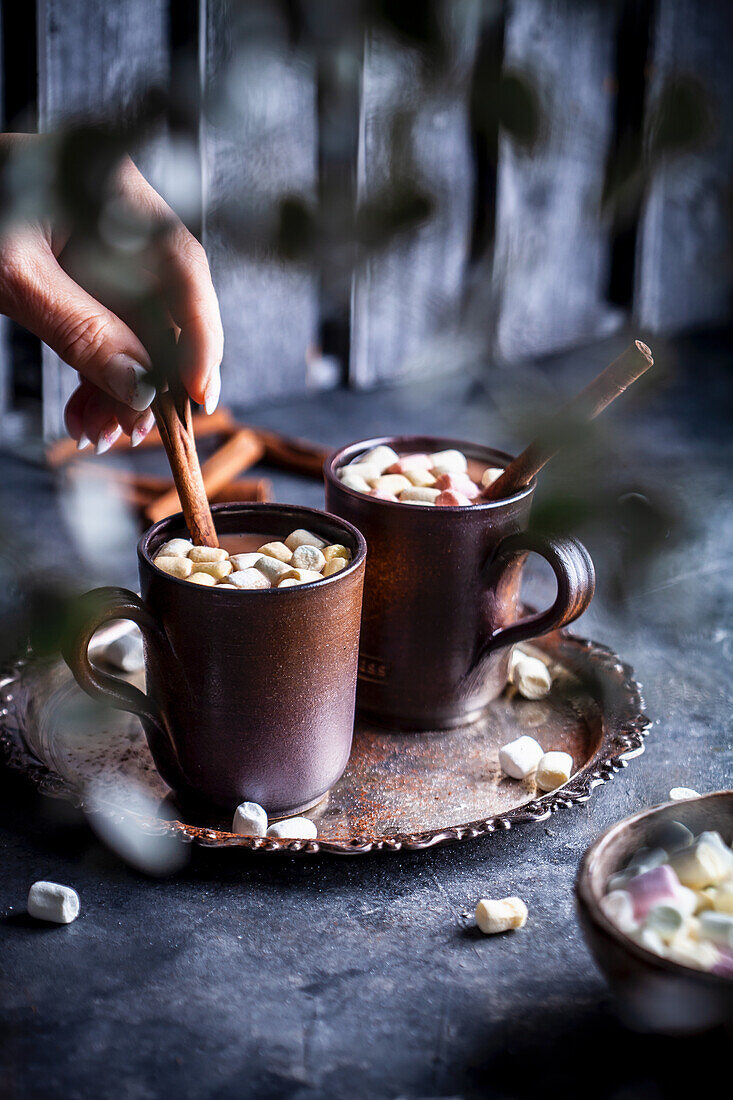 Hot chocolate with cinnamon stick and mini marshmallows