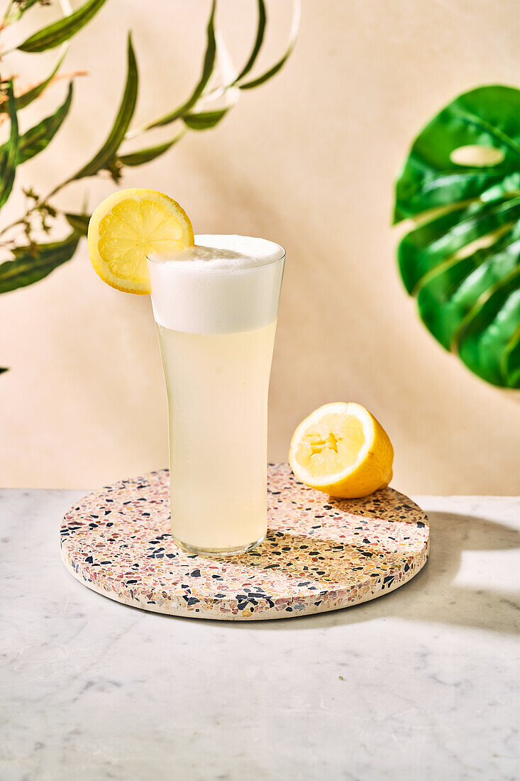 Classic Gin Fizz