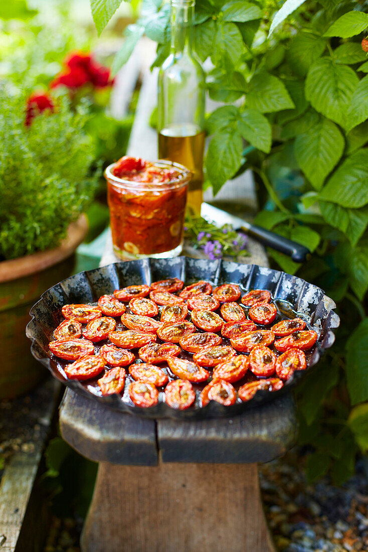 Halbgetrocknete Tomaten in Backform auf Bank im Freien