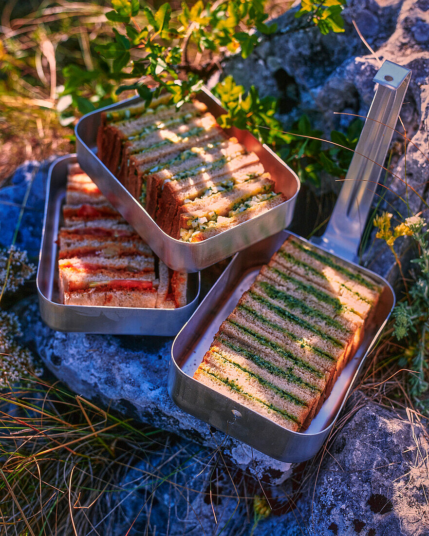 Sandwiches in tins for picnic