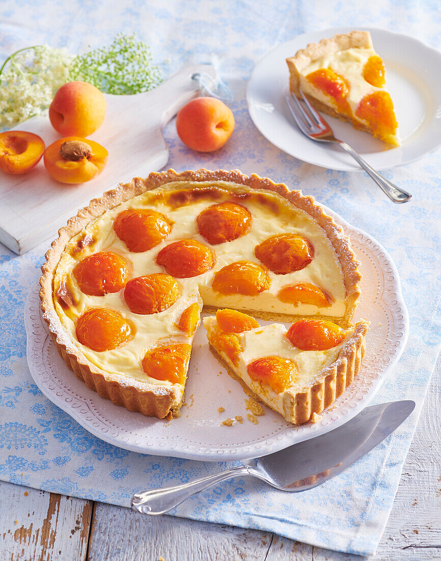 Apricot Cheesecake with Shortbread Crust