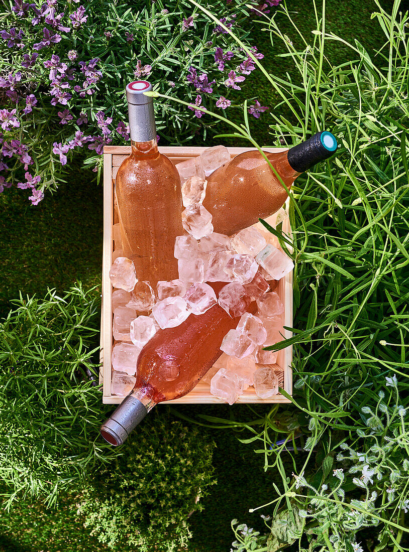 Three bottles of rosé wine with ice cubes in a wooden box
