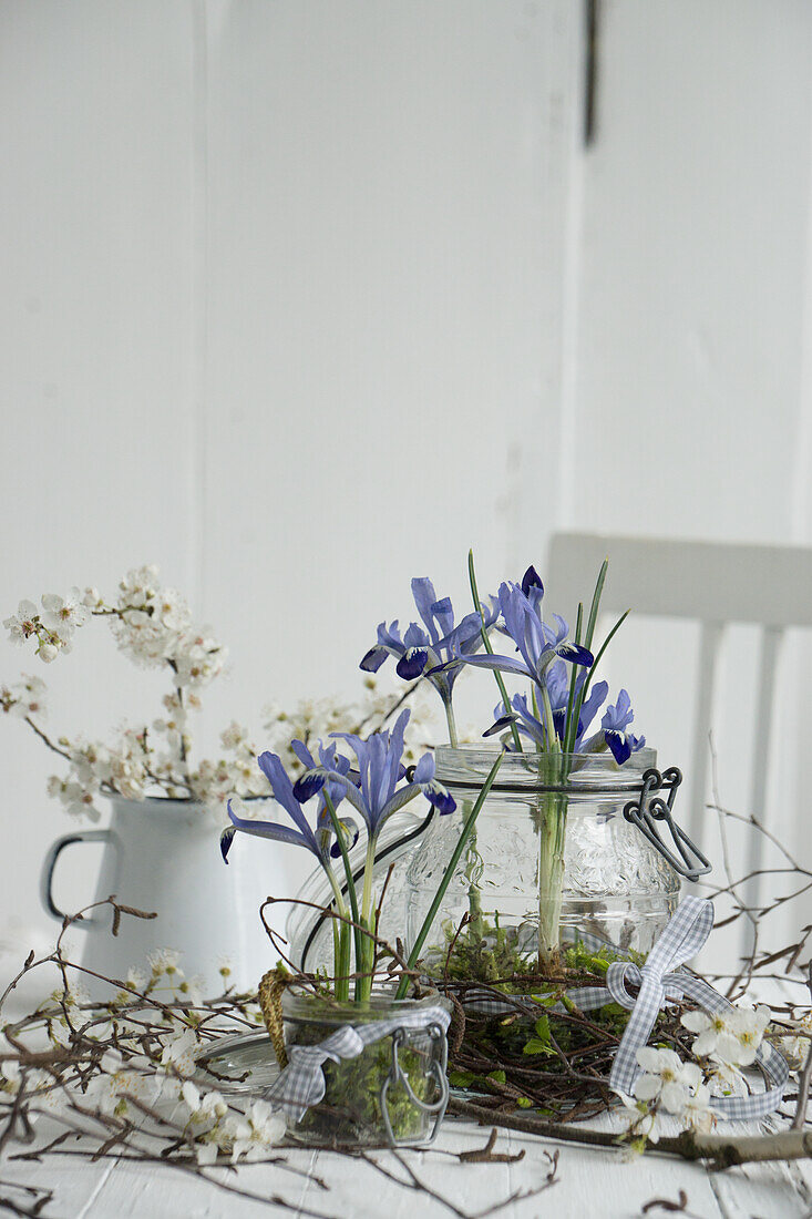 Irises with bulbs in a assorted containers with moss