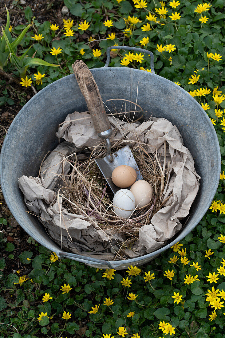 Paper nest and cut grass