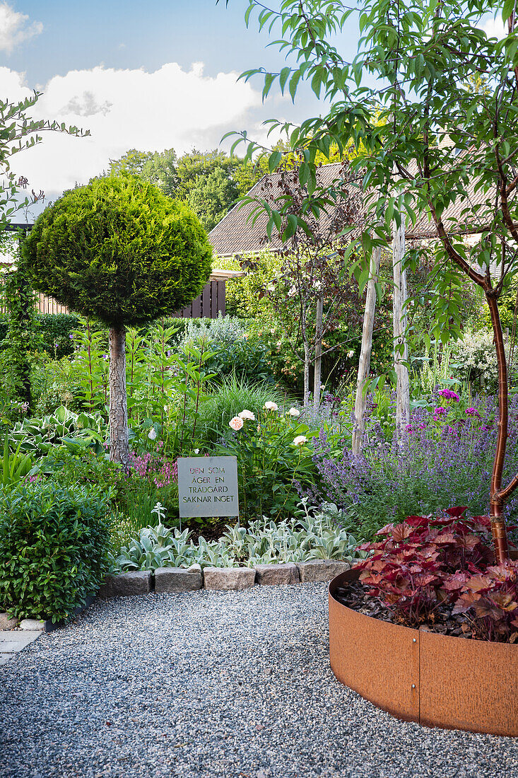 Round raised bed with Mandrake, in the background spherically cut noble cypress