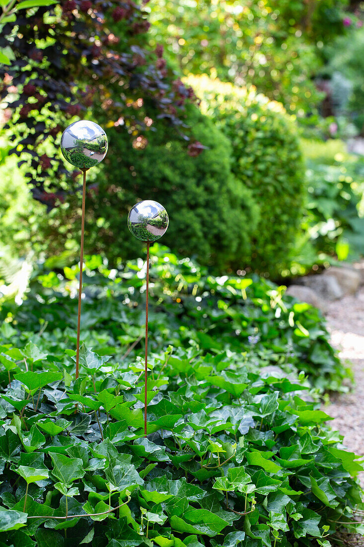 Dense ivy carpet and mirrored globe on rusty stems