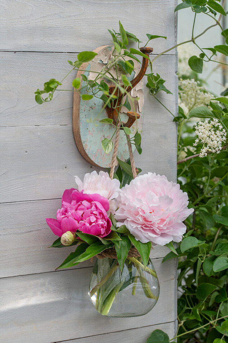 Peony blossoms (Paeonia) hung in glass vase as patio decoration