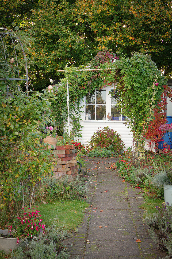 An allotment garden in autumn with an arbour under the trees