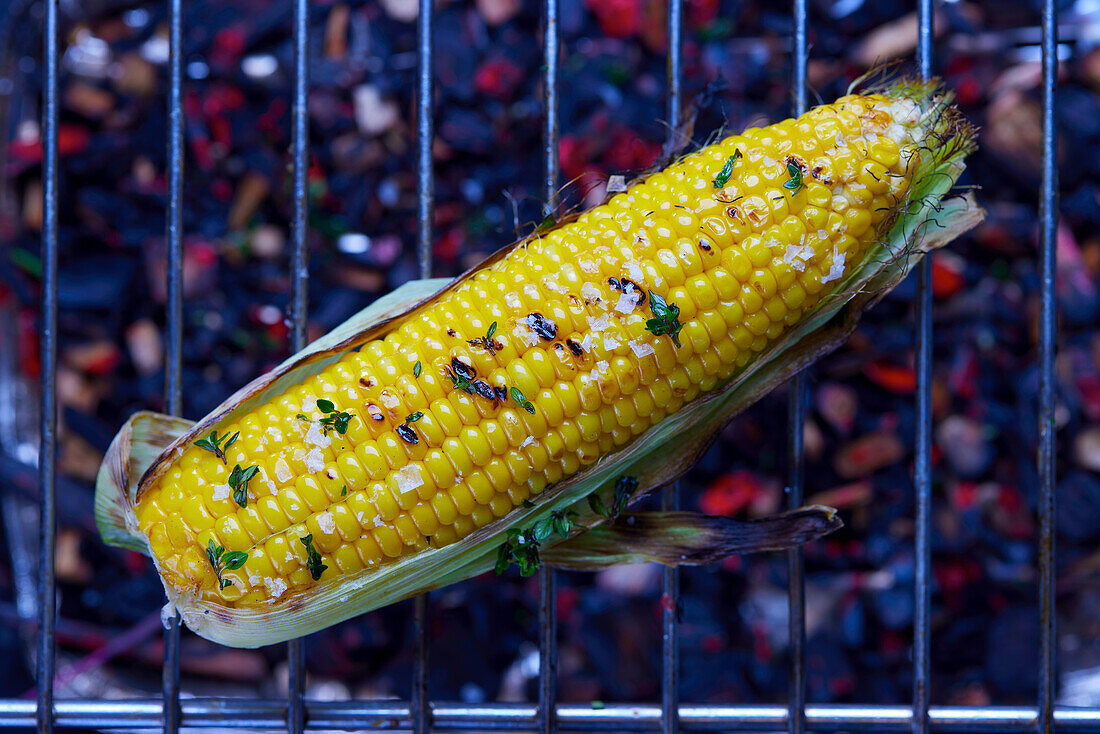 Grilled corn on the cob on a grill rack