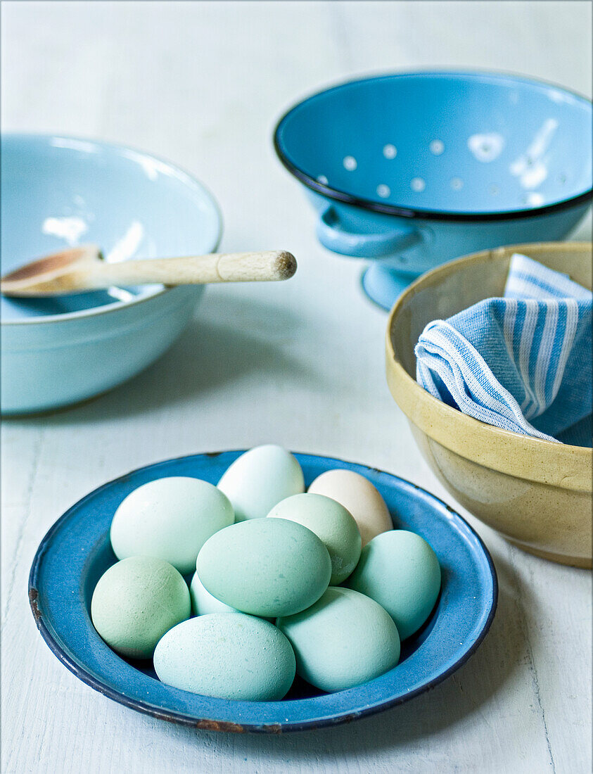 Blue and green chicken eggs