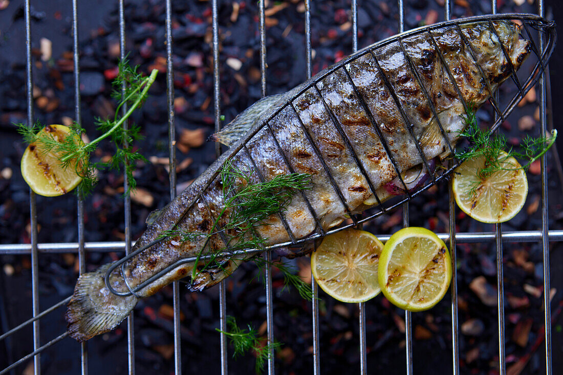Grilled trout on a grill grate