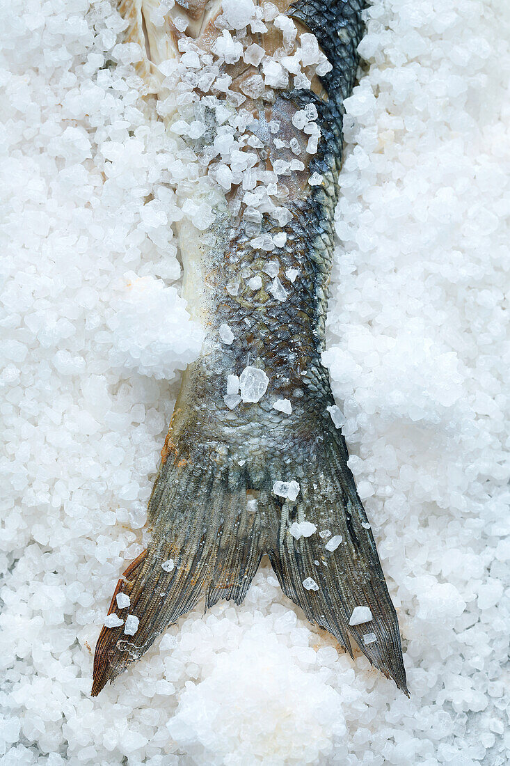 A fresh fish on a bed of salt