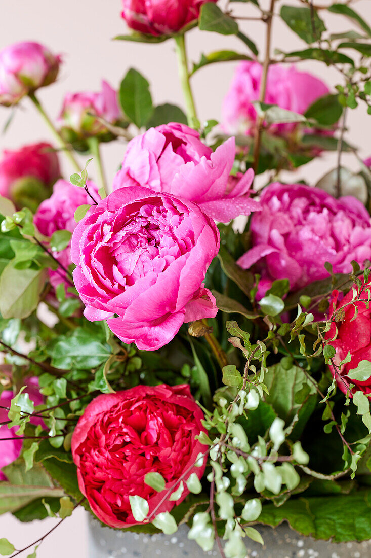 Paeonia arrangement