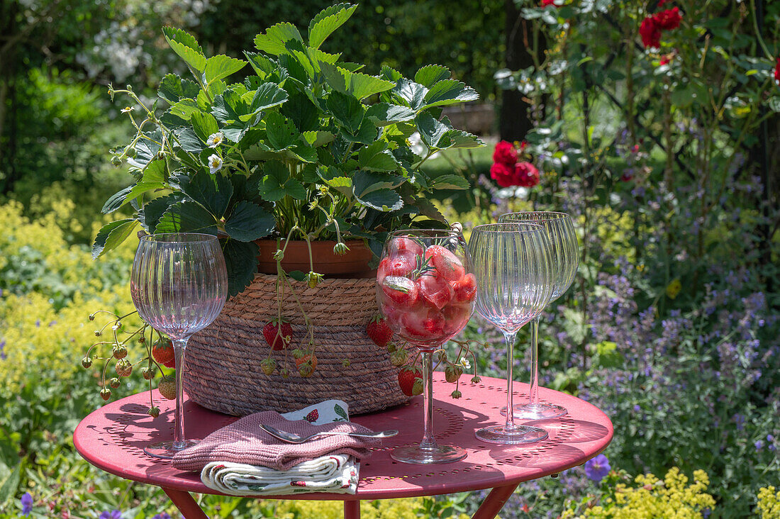 Eiswürfel mit Erdbeeren und Rosmarin im Glas auf Gartentisch
