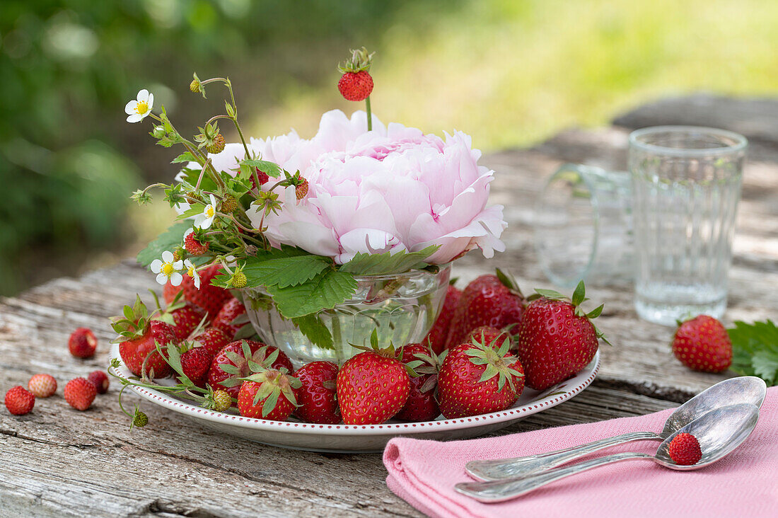 Tischdekoration mit Erdbeeren (Fragaria ananassa) und Pfingstrosen (Paeonia)